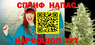 трава Пенза