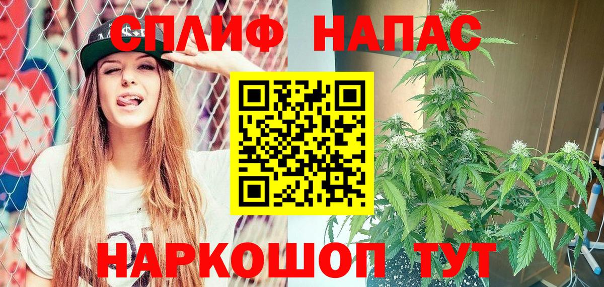 Шишки марихуана конопля Узловая